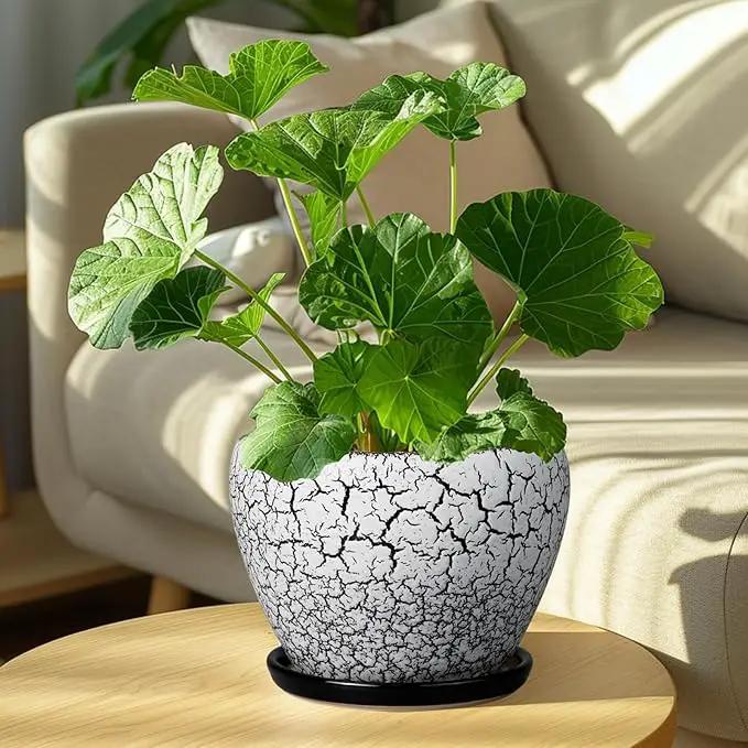 Ceramic Plant Pot 8 Inch - Ceramic Planter for Indoor Plants, Round Flower Pot with Drainage Hole and Saucer, Glaze White and Black by GreenHaven Gardens