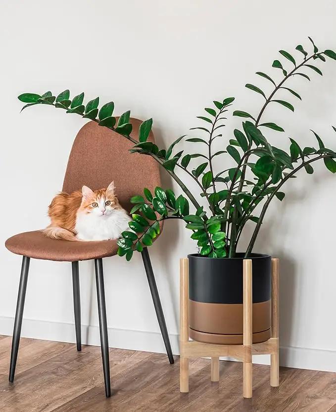 D'vine Dev Ceramic Planter with Natural Stand - 8 Inch Modern Round Flower Pot with Wood Planter Holder, Black/Speckled Tan, 55-B-N-7 by GreenHaven Gardens