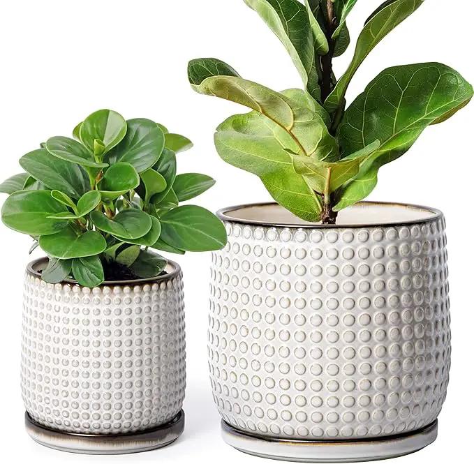 D'vine Dev 8 Inch 6 Inch Ceramic Indoor Planter Pots with Drainage Hole and Saucer, Beaded Design Flower Pots, Set of 2, Smoked White, 27-D-P-1 by GreenHaven Gardens