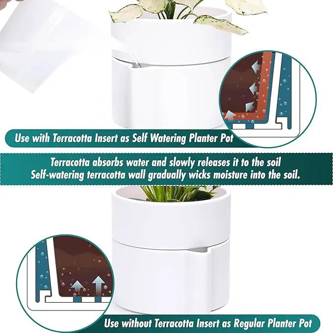 Phoenix Vine 6.5 Inch Self-Watering Planter Pot with Terracotta Insert, Deep Water Reservoir, and Ceramic-Alike BPA-Free Plastic Pot for Plant, Modern Planter for Houseplants, White, 53-A-S-1 by GreenHaven Gardens