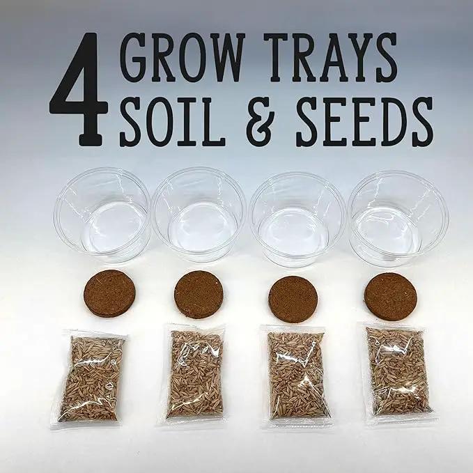 Organic Cat Grass Premium Grow Kit 4 Pack | Non GMO Mixed Heirloom Seeds | Wheatgrass - Oat Grass - Barley Grass Blend by GreenHaven Gardens