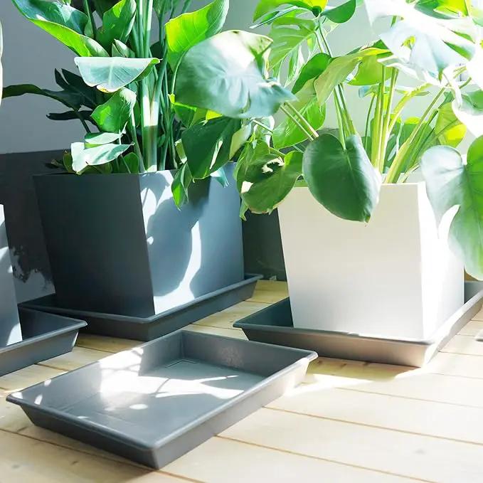 Square Plant Saucer 10 Inch 5 Pack, Plant Stand Flower Pot No Holes, Gray Plant Trays for Pots Heavy Duty Plastic Plant Saucers for Indoors Outdoors Plant Lover Gardening Gifts by GreenHaven Gardens