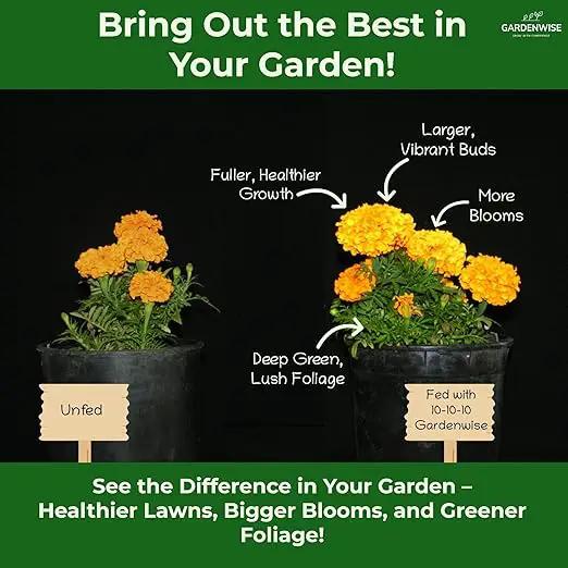 10-10-10 Plant Fertilizer Slow Release - 10 10 10 All Purpose Granular Garden Fertilizer for Vegetables, Tomato, Arborvitae, Shrubs, Rose, Flowers, Fruit, Fig Trees (4 QUARTS) by GreenHaven Gardens