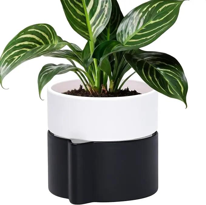 Phoenix Vine 6.5 Inch Self-Watering Planter Pot with Terracotta Insert, Deep Water Reservoir, and Ceramic-Alike BPA-Free Plastic Pot for Plant, Modern Planter for Houseplants, Black/White, 53-C-S-7 by GreenHaven Gardens