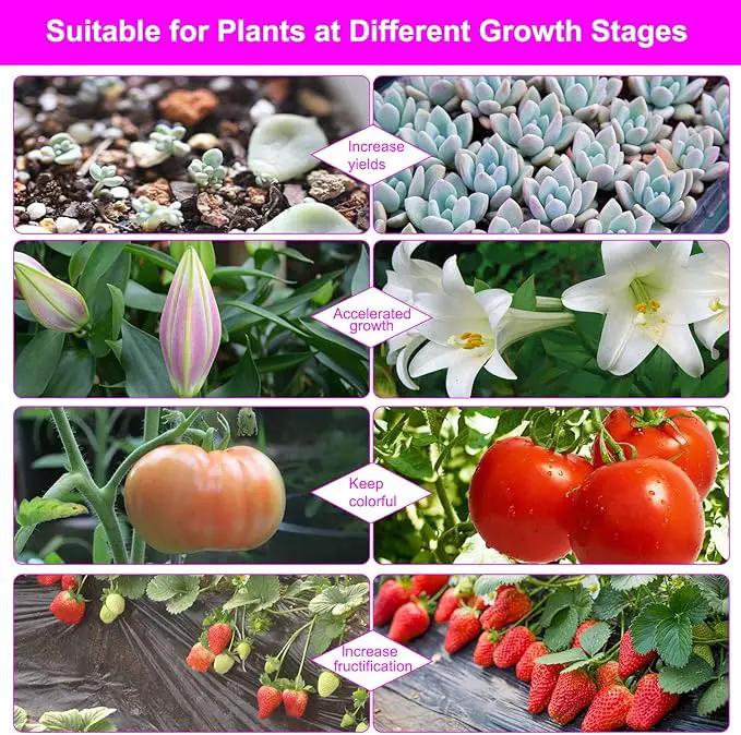 Grow Lights for Indoor Plants, Full Spectrum LED Plant Lamps with Clips and 3m Cables for Seeding Growing(2 Pack) by GreenHaven Gardens