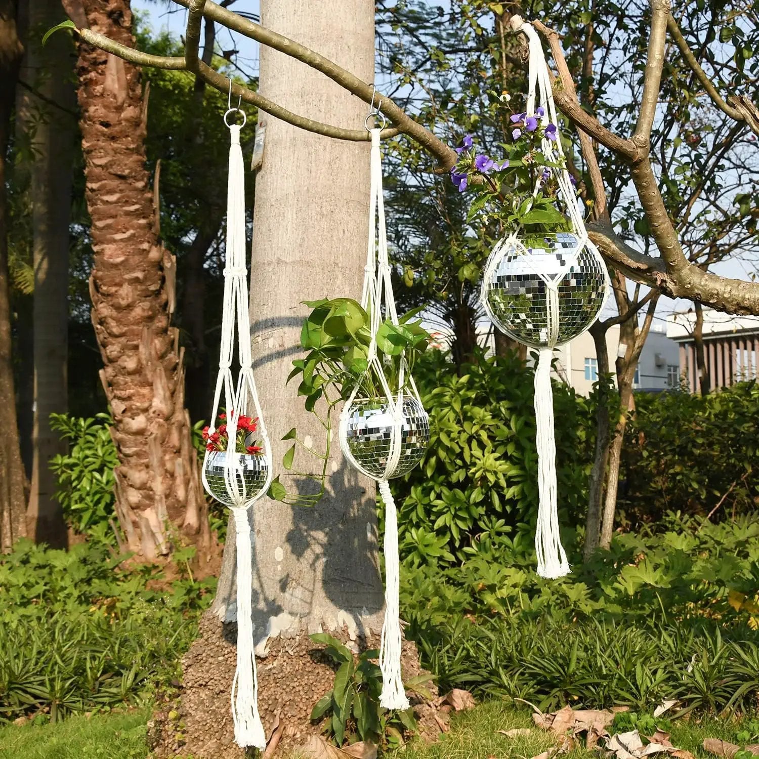 8" Silver Disco Ball Planter with Hanging Rope, Hanging Chain, Hook, Circle | for Decoration by GreenHaven Gardens