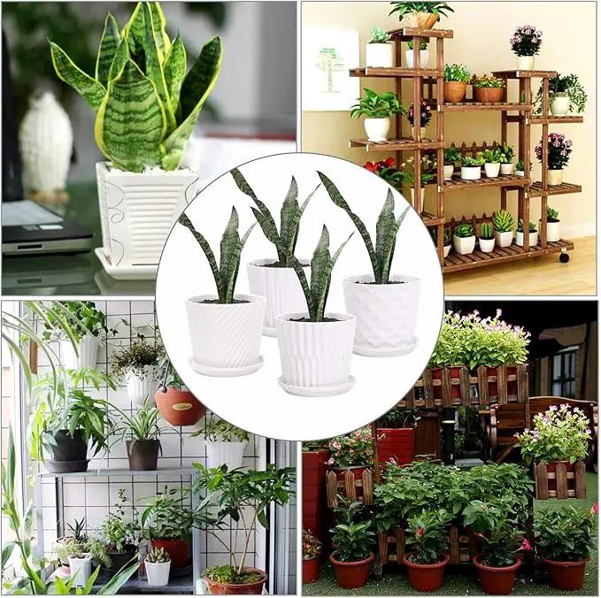 Plant Pots - 5.5 Inch Cylinder Ceramic Planters with Connected Saucer, Pots for Succuelnt and Little Snake Plants, Set of 4, White by GreenHaven Gardens