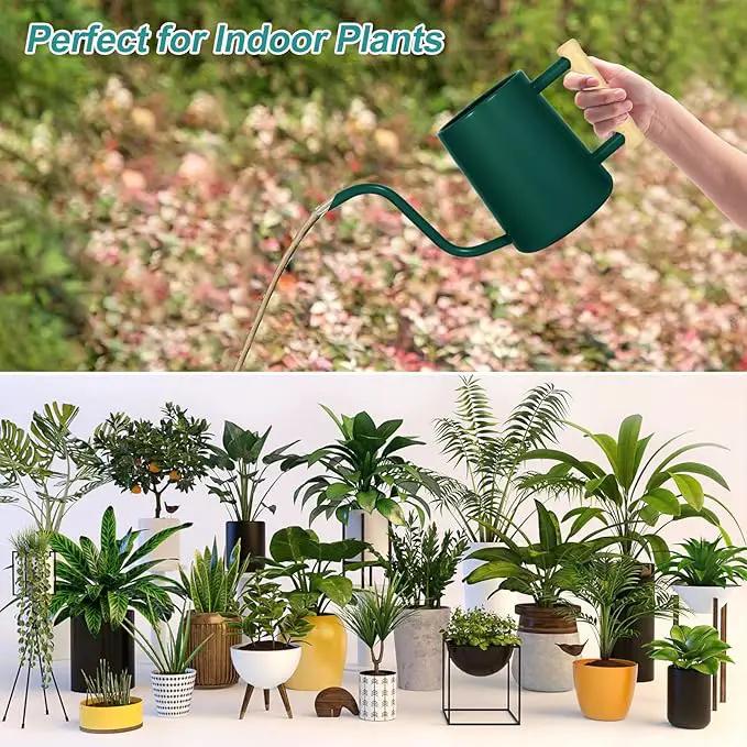 Watering Can Indoor Plants, 35 oz/1000 ml Metal Stainless Steel Watering Can Pot with Long Spout for Indoor House Plants Bonsai Outdoor Garden Flower Decorative (Alpinegreen) by GreenHaven Gardens