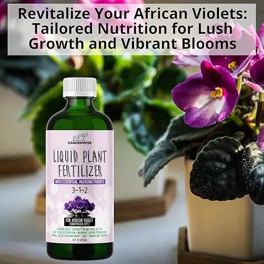 3-1-2 African Violet Fertilizer for Indoor Plants: Liquid Fertilizer with Essential Micronutrients Drops - Plant Food for African Violets (8 oz) by GreenHaven Gardens