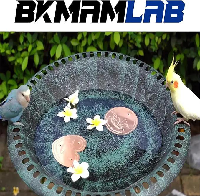 2-Pack 99.99% Pure Copper Bird Bath Purification Disk,Copper Disc with Stable Triple-Point Support,Fits All Outdoor Bird Baths(Heart-Shaped&Round) by GreenHaven Gardens