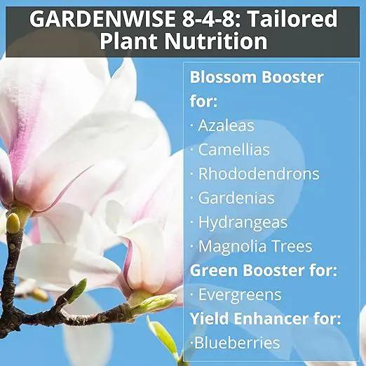 8-4-8 Acidic Fertilizer for Azaleas, Camellias (Camelia), Hydrangeas, Blueberries, Gardenias, Magnolia Trees, Evergreens, and Rhododendrons - Ideal Iron-Rich Plant Food (3 QUARTS) by GreenHaven Gardens