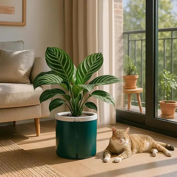D'vine Dev 8 Inch Design Self Watering Planter for Indoor Plants, White Terracotta Pot with Teal Cylinder Glass Cup, 37-X-C-5 by GreenHaven Gardens