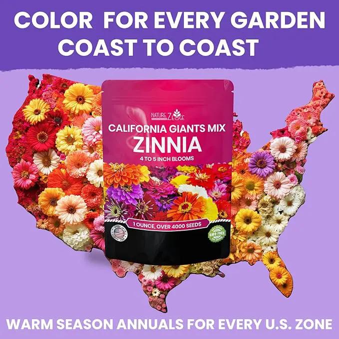 NatureZ Edge Zinnia Seeds for Planting Outdoors – California Giants Flower Seeds, Bulk Semillas de Flores para Sembrar, 1 Oz by GreenHaven Gardens