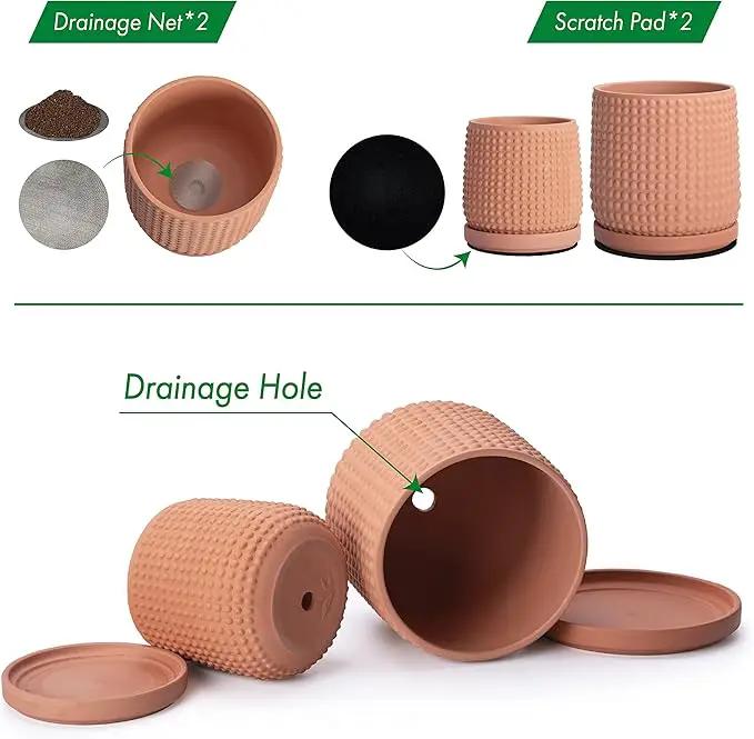 D'vine Dev 6 Inch 4 Inch Terracotta Indoor Planter Pots with Drainage Hole and Saucer, Beaded Design Flower Pots, Set of 2, Terracotta Color, 27-D-U-7 by GreenHaven Gardens