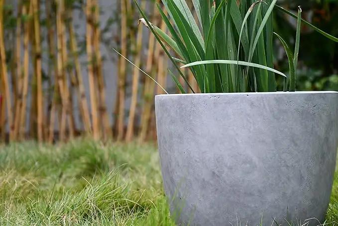 Kante 14 Inch Dia Round Concrete Planter, Indoor Outdoor Large Plant Pot with Drainage Hole and Rubber Plug for Home Patio Garden, Natural Concrete by GreenHaven Gardens