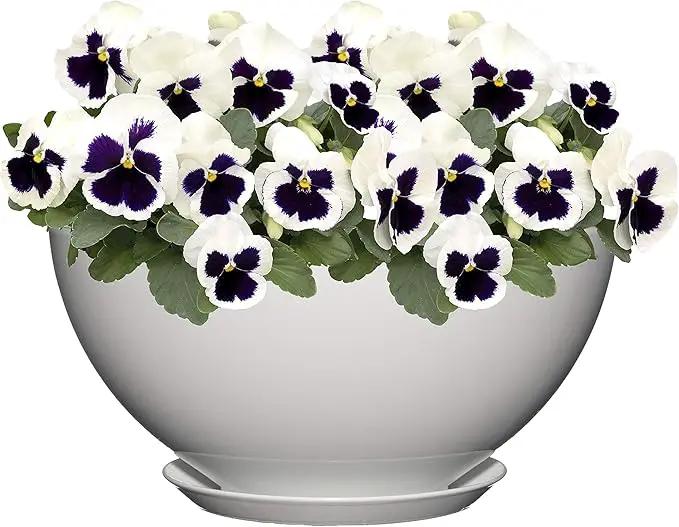 Classic Home and Garden Premiere Collection Planter, Rosie 10", Stark White by GreenHaven Gardens