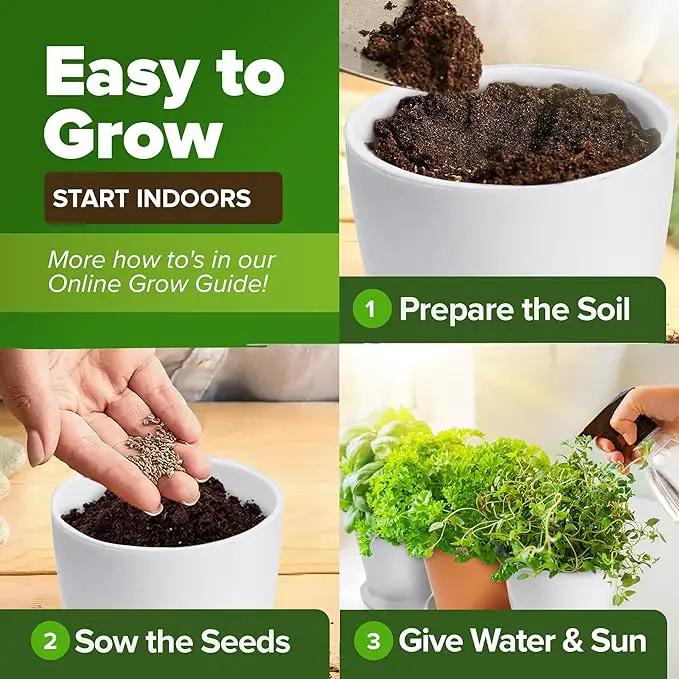 HOME GROWN 25 Herb Seeds for Planting 8,700+ Non-GMO Heirloom Seeds | Extra Large Variety Pack Herb Kit – Indoor Outdoor & Hydroponic | Culinary Seed Set | Grow Your Own Herbs | Gardening Gift by GreenHaven Gardens