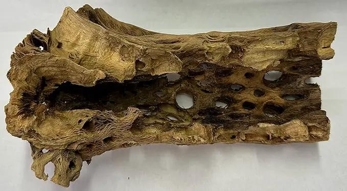 Natural Cholla Wood Chunk Large Air Plant Display Holders Individually Unique Decorative Stands or Holder (Cholla Chunk Large) by GreenHaven Gardens