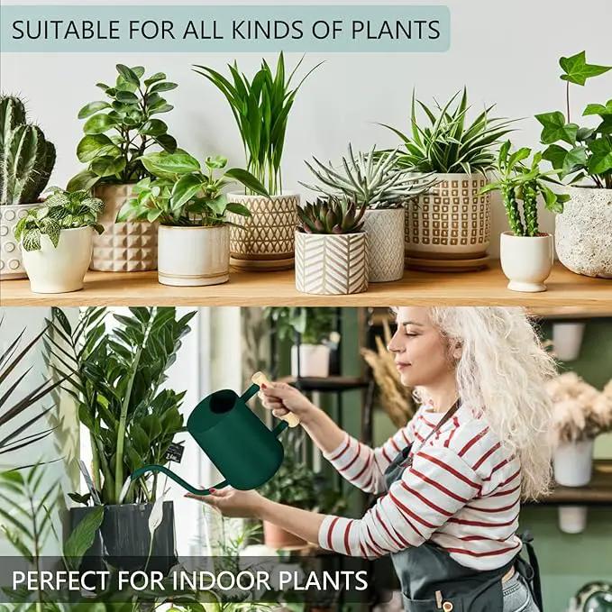 Watering Can Indoor Plants, 35oz Small Watering Can Indoor Stainless Steel Metal Watering Can Modern Decorative Watering Pot with Long Spout for Indoor House Plant Bonsai Garden Flowers (Alpinegreen) by GreenHaven Gardens