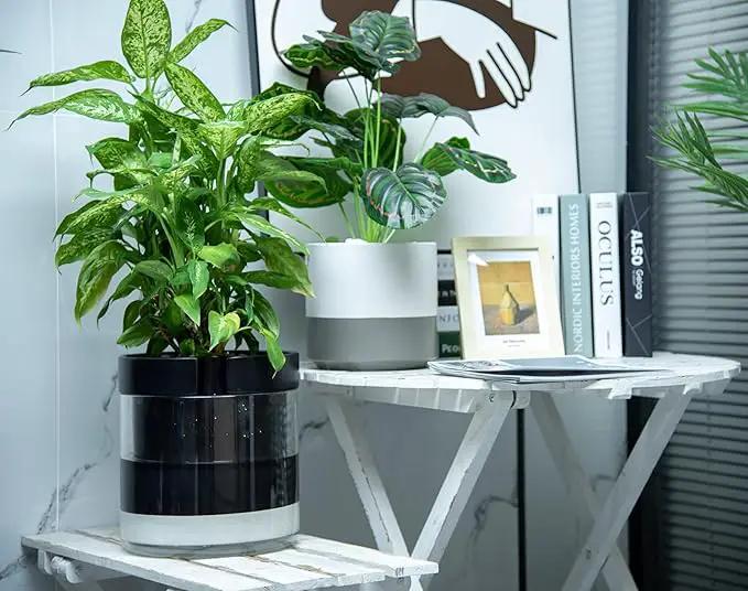 Phoenix Vine 10 Inch Self Watering Terracotta Planter, Black Terracotta Clay Pot with Glass Reservoir for Indoor Plants, Herbs, Flowers, Set of 1, 52-C-I-1 by GreenHaven Gardens