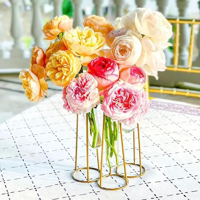Propagation Station Terrariums with Gold Metal Stand - Kate Aspen 3 Glass Test Tube Planters for Indoor Plant, Air Plants, Plant Clippings, Cut Flowers, Herbs, Succulents | Home Decor Table Decoration by GreenHaven Gardens