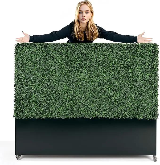 Artificial Boxwood Hedge Divider Wall with Black 201 Stainless Steel Planter Box (60" L X 48" H X 14" D) by GreenHaven Gardens
