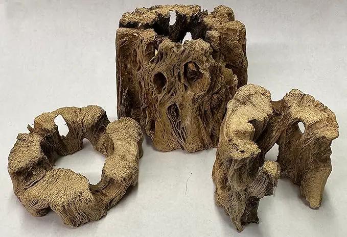 3 Natural Cholla Wood Air Plant Display Holders Individually Unique Round Decorative Stands (3 Pack Cholla Rounds) by GreenHaven Gardens