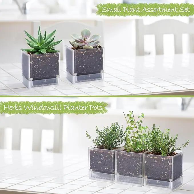 4 Inch Herb Planter Pot, Plastic Planter with Drainage Holes and Saucer, Modern Decorative Gardening Pot for Indoor Plants, Flowers, Herbs, Succulents, Clear, Set of 3, 76-Y-D-3 by GreenHaven Gardens