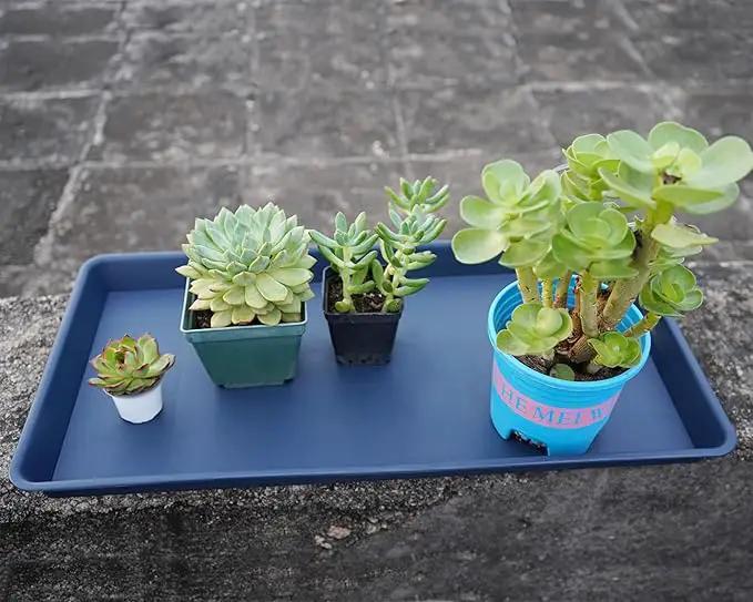 Plant Saucer Growing Tray, Seed Starter Tray Rectangular, Heavy Sturdy Plastic Plant Saucers Drainage Trays, Plant Drip Trays for Pots, Seed Starter Growing Tray (11 x 9 inch, 2 Pack) by GreenHaven Gardens