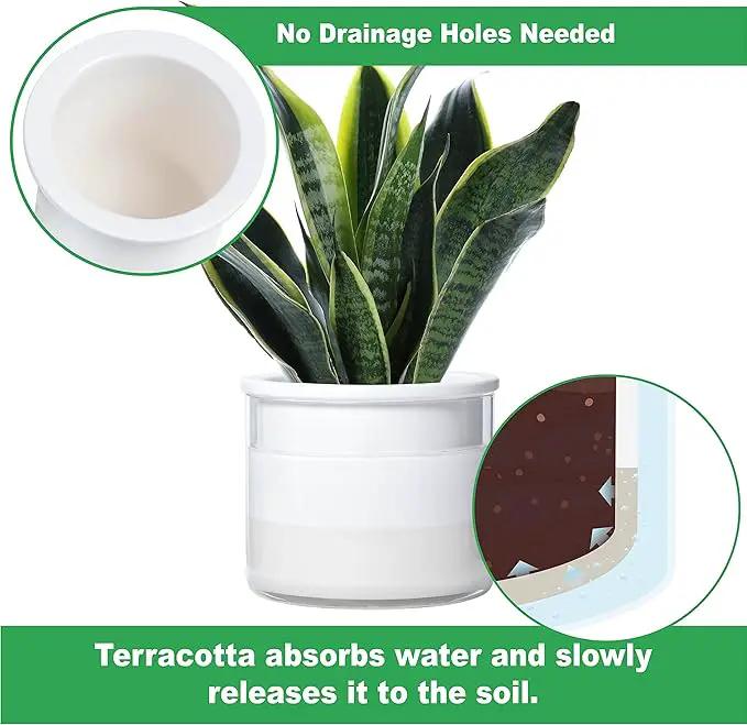 Phoenix Vine 6 Inch Self Watering Planter Pot, Design White Terracotta Pot for Plants, Indoor Cylinder Terra Cotta Pot with Glass Vase, Set of 1, 51-B-F-1 by GreenHaven Gardens