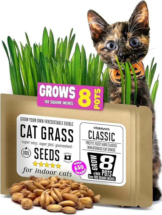 Cat Grass Seeds – Soft, Tasty Wheatgrass – Grows 8 Pots of Fresh Cat Grass for Indoor Cats & Kittens – Easy & Fast to Grow – Small Pack Grows 100 Square inches of Edible cat Grass Vitamunch by GreenHaven Gardens