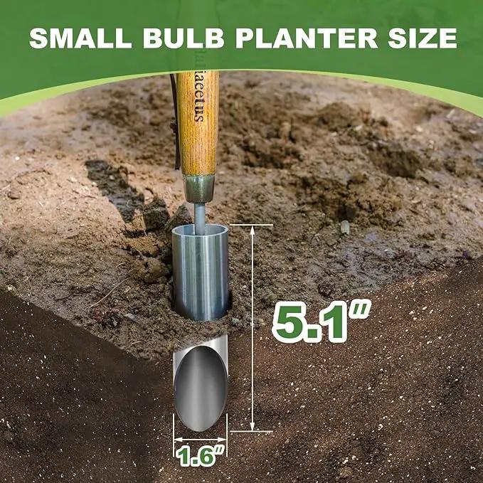 Haliaeetus Small Bulb Planter Tool, Sharp Edge Bulb Planter for Breaking Through Soil, Heavy Duty Stainless Steel Bulb Planter Tool, Small Bulb Digger with Comfortable Wood Handle for Seed Planting by GreenHaven Gardens