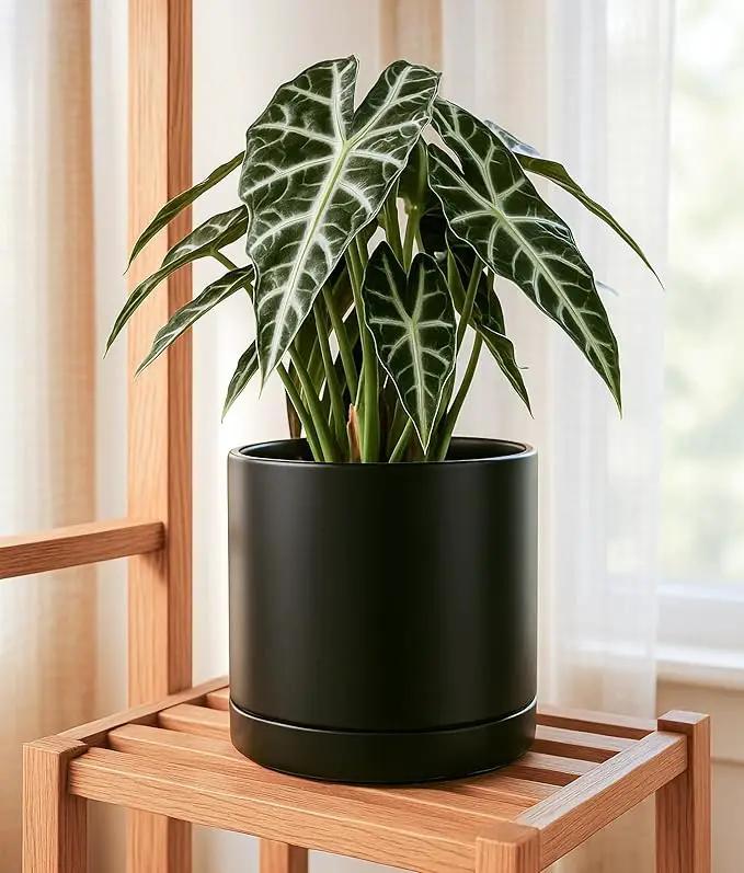 D'vine Dev Set of 2 Plants Pots, 10 Inch Ceramic Planter Pot for Plants with Drainage Hole and Saucer, Black, 94-V-E-2