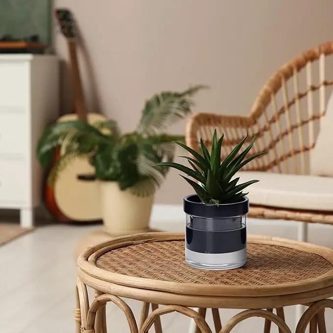 Phoenix Vine 4 Inch Self Watering Terracotta Planter, Black Terracotta Clay Pot with Glass Reservoir for Indoor Plants, Herbs, Flowers, Set of 1, 52-C-E-1 by GreenHaven Gardens