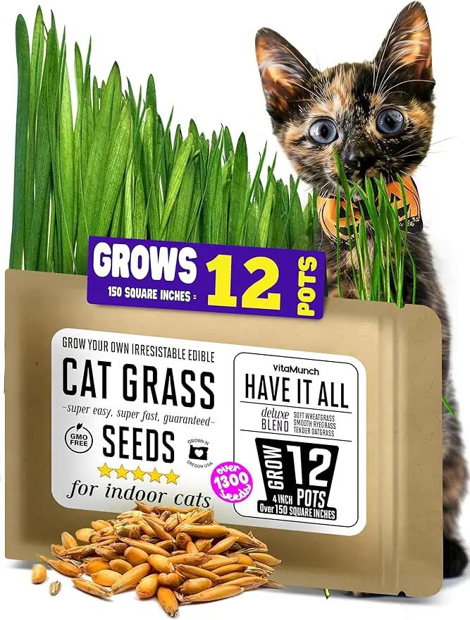 Cat Grass Seeds Deluxe Blend – Tender, Smooth and Chonky – Grows 12 Pots of Fresh Cat Grass for Indoor Cats – Easy & Fast to Grow Small Pack Grows 150 Square inches of Edible cat Grass – Vitamunch by GreenHaven Gardens