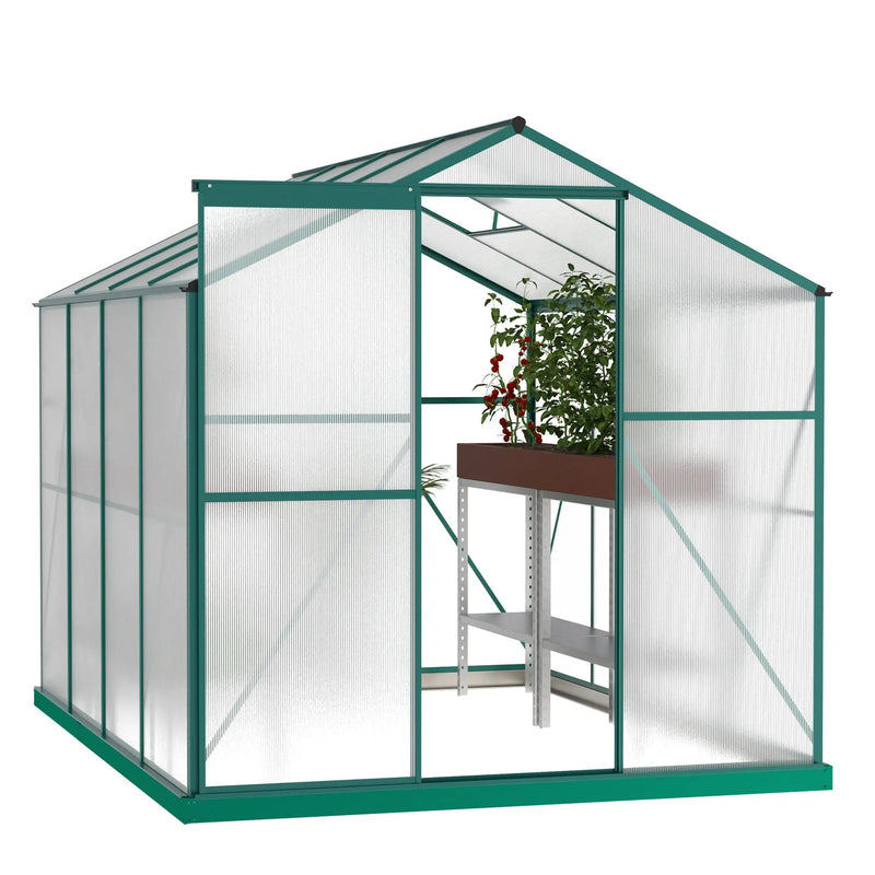 Polycarbonate Greenhouse - 6'x8' Heavy Duty Walk-in Plant Garden Greenhouse by HouseOfZazla