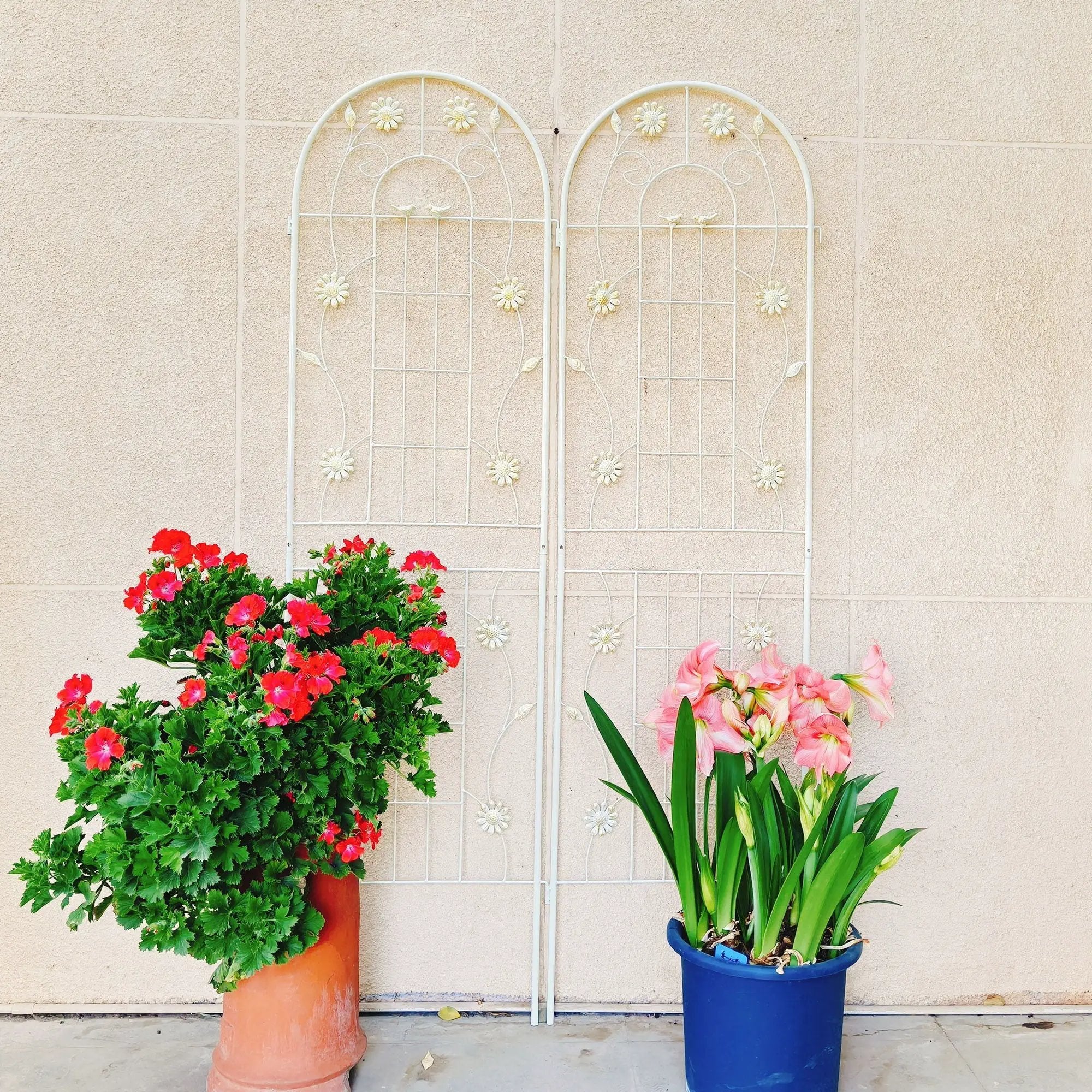 Metal Garden Trellis Rustproof Trellis For Climbing Plant Outdoor Flower Support by HouseOfZazla