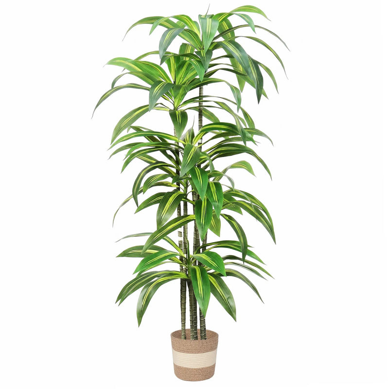 Dracaena Artificial Plant Indoor - 5.5FT by HouseOfZazla