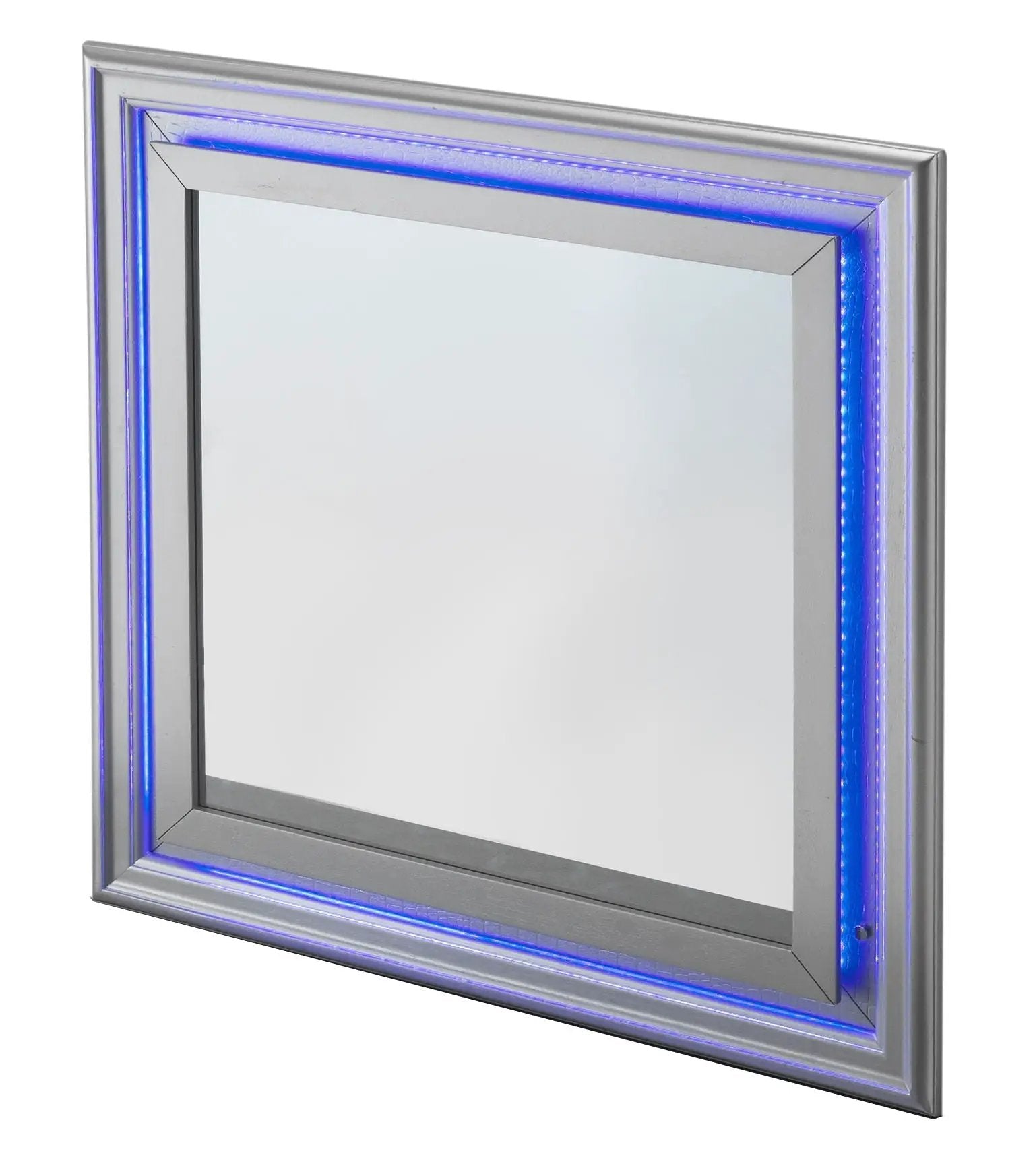 Lorana - Elegant Transitional LED Mirror by Unique Piece Furniture
