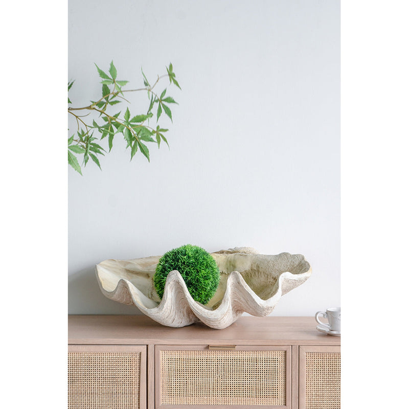 Large Clam Shell Accent 25.3x16.5x8.5" by HouseOfZazla