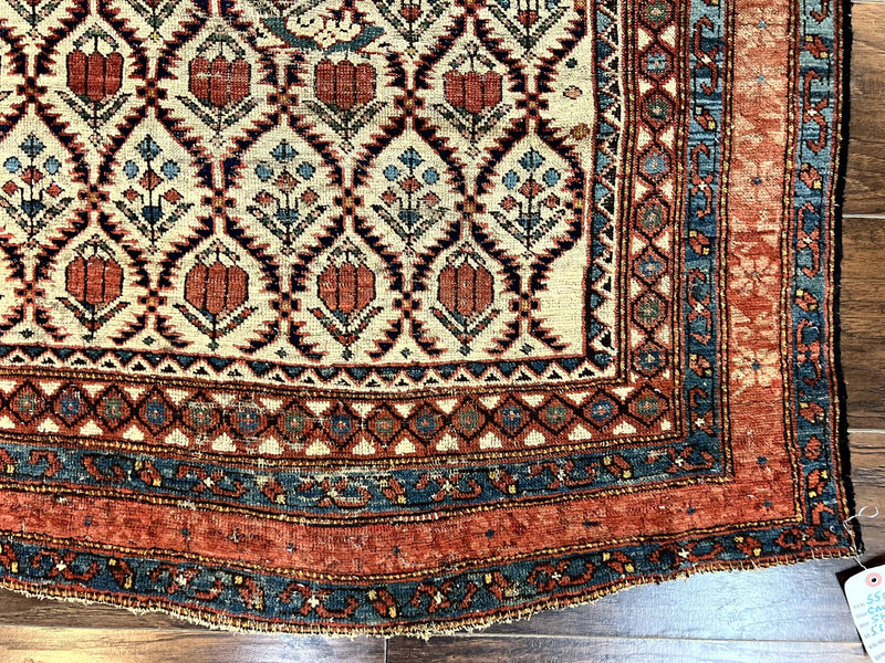 Antique Caucasian Rug 4x6, Hand Knotted Wool Carpet, Shirvan Rug by Jewel Rugs