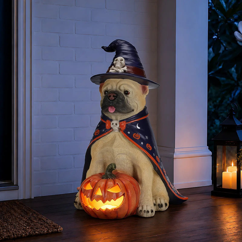 Halloween Bulldog Witch Statue, LED Light Up Jack-O-Lantern Pumpkin by HouseOfZazla