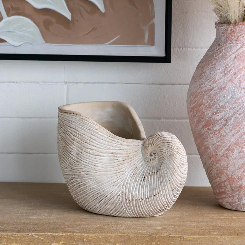 11.5x6.7x7.7" Sand and Cement Nautilus Shell Planter with Textured Beige Finish by HouseOfZazla
