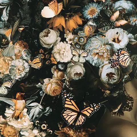 Valfer - Wall Art - Orange / Black / White by Unique Piece Furniture