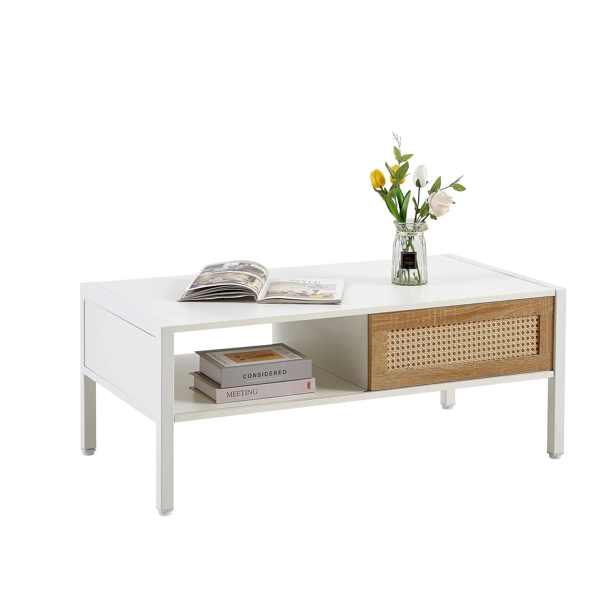 Modern Rattan Coffee Table with Sliding Door by HouseOfZazla