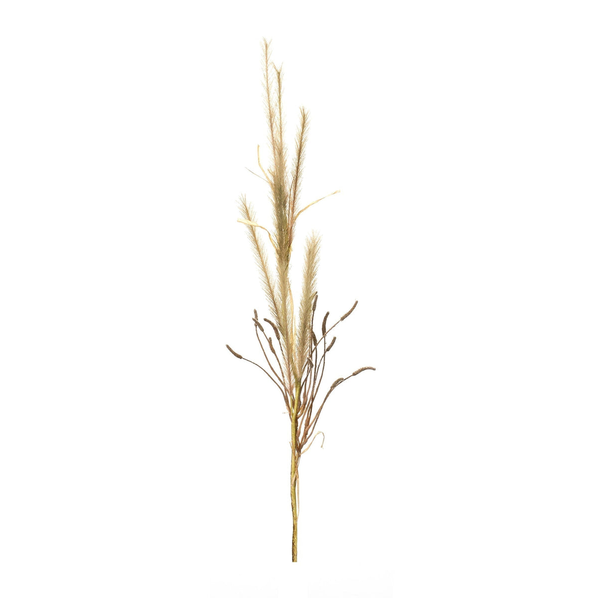 Foxtail Grass Spray (Set of 2)