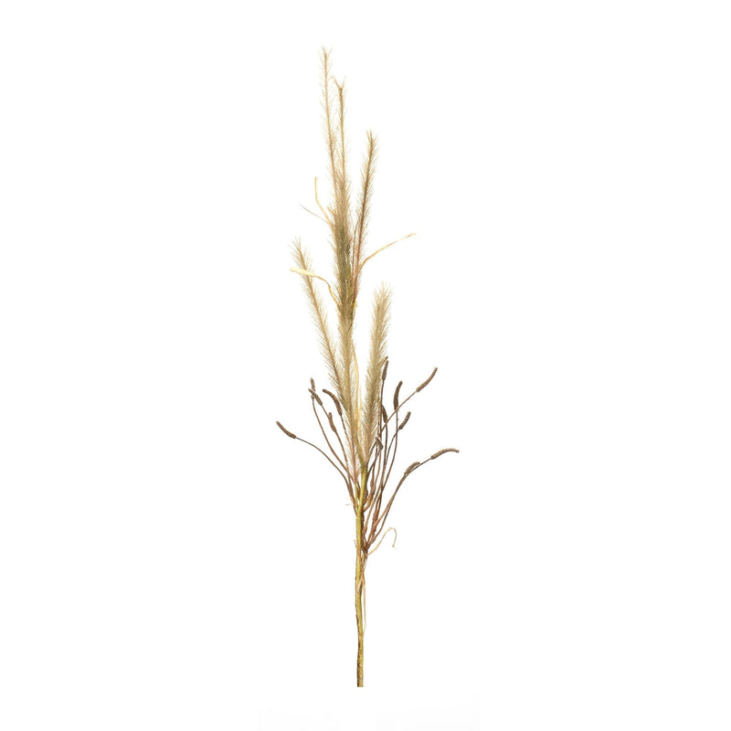 Foxtail Grass Spray (Set of 2)