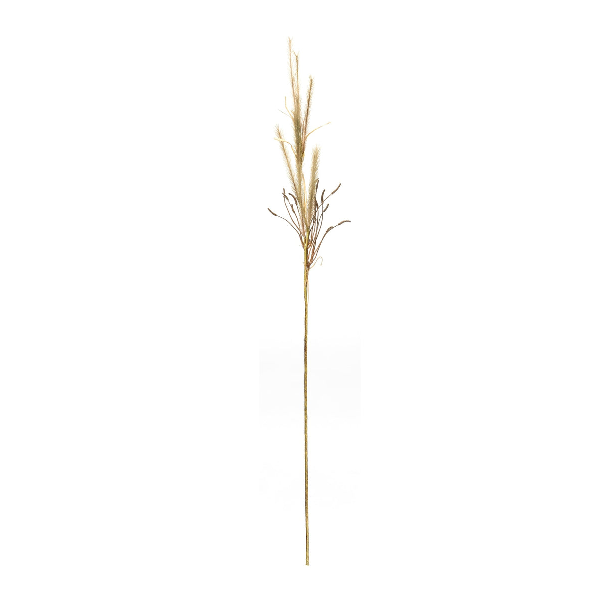 Foxtail Grass Spray (Set of 2), photo 2 of 3
