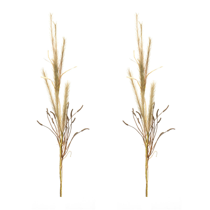 Foxtail Grass Spray (Set of 2), photo 3 of 3