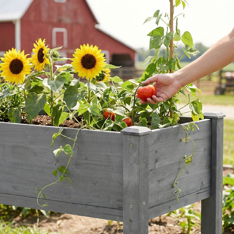 Elevated Raised Garden Bed For Outdoor by HouseOfZazla